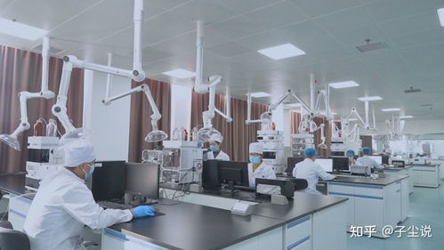 先創(chuàng)新,后挖潛,用合作帶動產(chǎn)品開發(fā)——金木集團(tuán)打開眼界算細(xì)賬